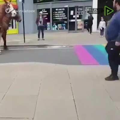 Essas cores assustam os cavalos, eles deveriam tir&aacute;-los