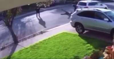 How try and rob someone and then get slammed 🤦🏽‍♂️