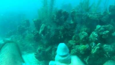 Finally got the video on redgifs. Where are my scuba diving buddies at?