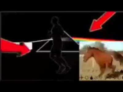 Spreading Pink Floyd propaganda (gotta even out the porn/meme ratio)