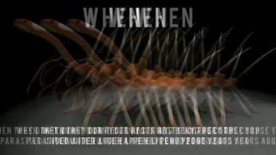 🐛<[I'm sorry Juan 🐴]