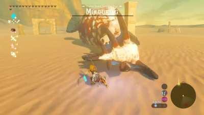 Imagine being Zelda watching over Link in this