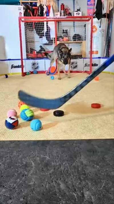 Can't fool d goalie w/ pseudo pucks