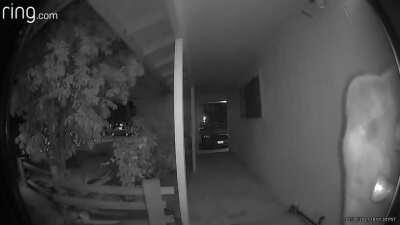 got a notification that there was motion at my front door