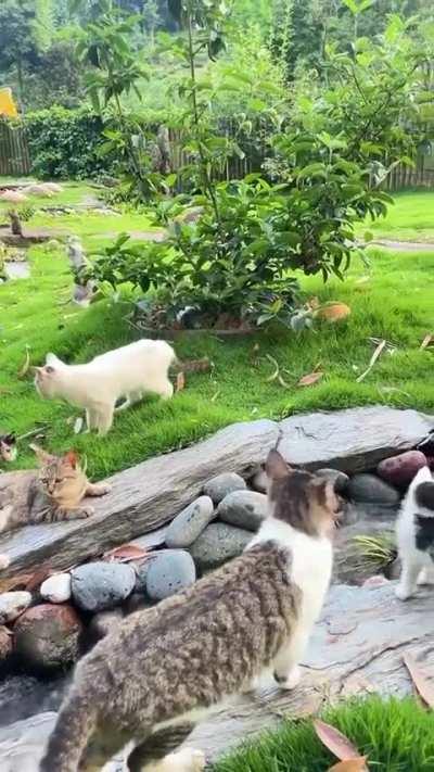 Is this what heaven looks like?