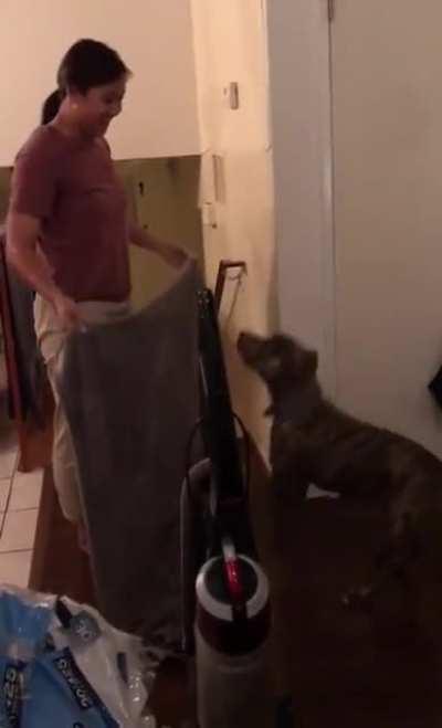 Disappearing trick for the dog