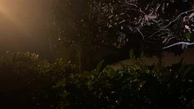 Sudden downpour in Florida