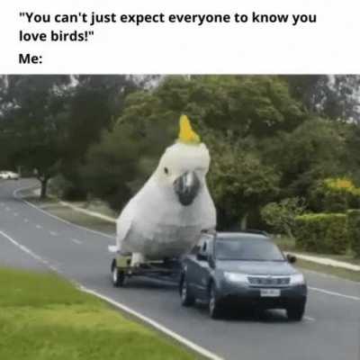 Let the world know what you love! <3 (OC)