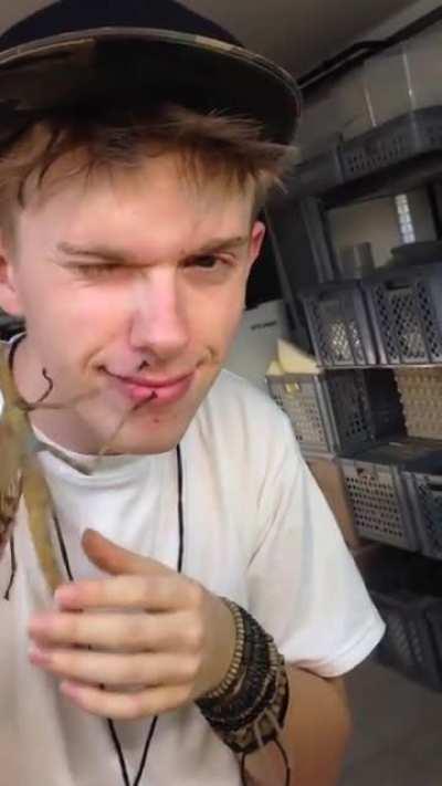 The shear girth of this stick bug needs no words.