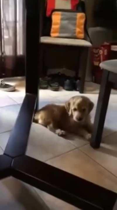 He came up with a plan to get unstuck, but in the end falling over was what worked