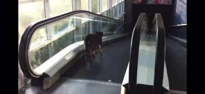 Trying to get downstairs