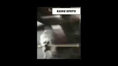 Her gün Köpekleri tarafından Şiddet gören sahiplerin yanında olalım SAHİP HAKLARI