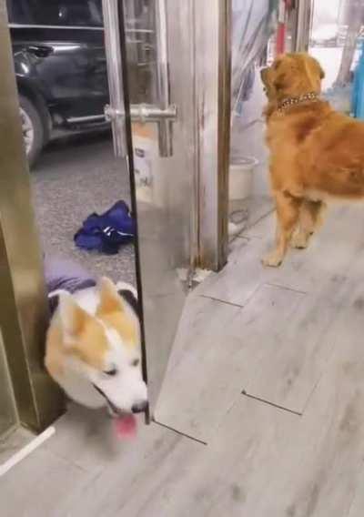 Интернет-воины