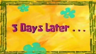 &ldquo;Cat girls aren&rsquo;t real?!&rdquo;