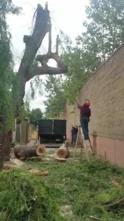 That’s a lot of damage