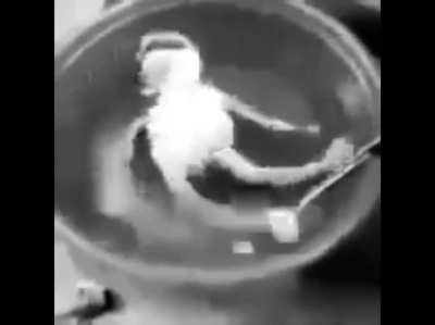 انا بعد ما تعرف ان نور دخلت فريق GXR :