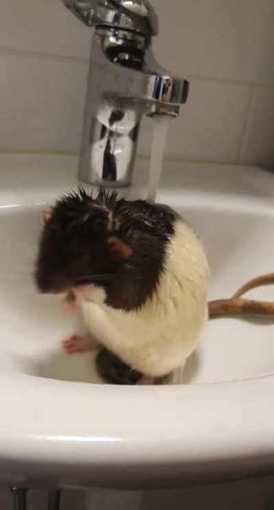 Don't mind me, just taking a lil shower