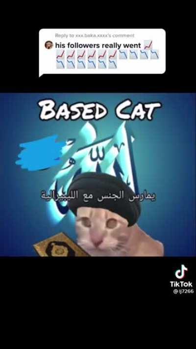 BASED CAT!??!?!?