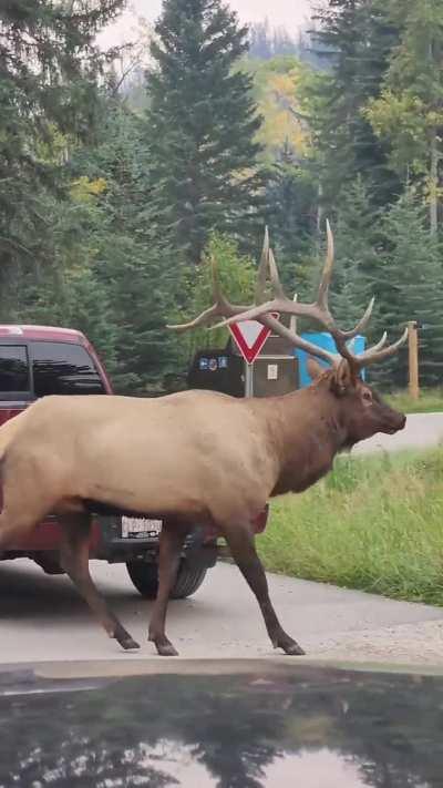 How not to get a girl 