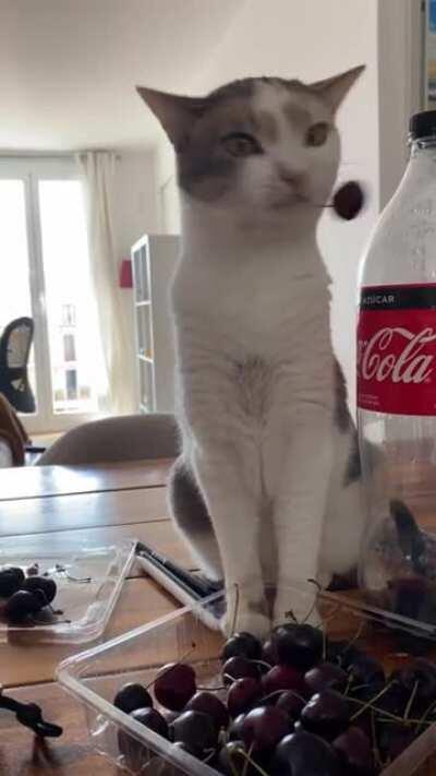 You are being hypmotized