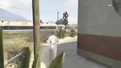 My friend and I were messing around and I hit my proudest shot