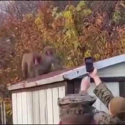 To have an uninterrupted sex