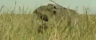 How Paleolithic Humans Hunted The Megafauna