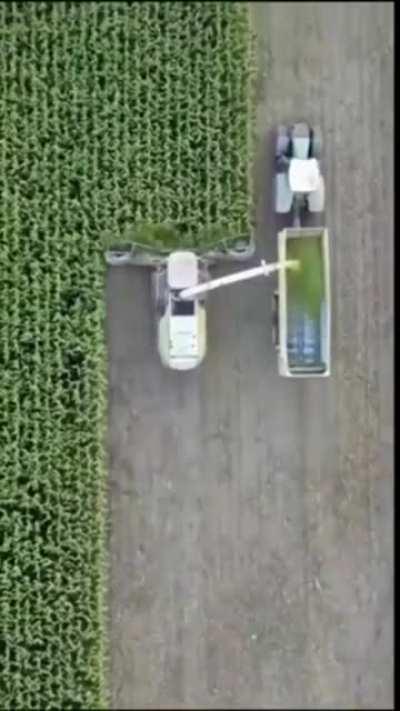 Synchronized driving skills.