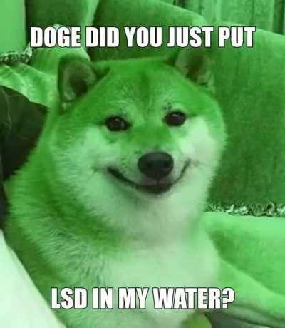 Le bad trip has arrived