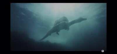 No Matter How Bad Things Get On Land Never Get Into The Water.