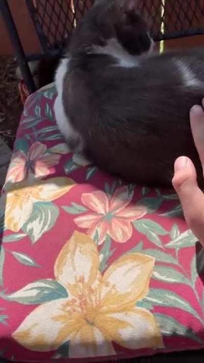 Who is that?? Oh its just you. WAIT ITS YOU!!!