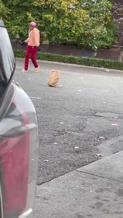 Just vibing at the gas station