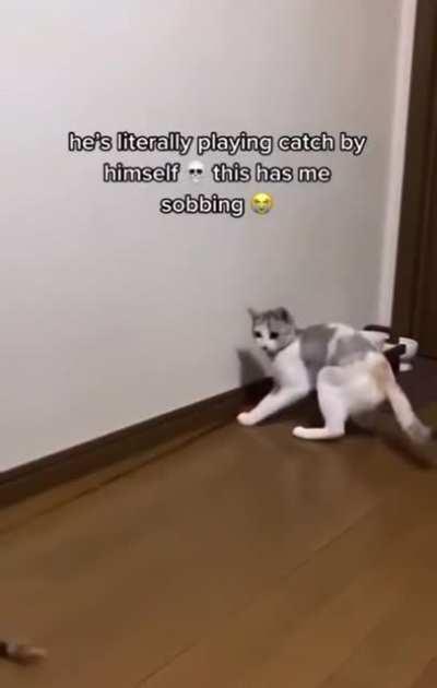 Self Sufficient Cat!