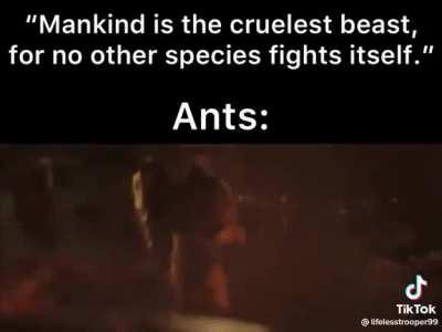 Does anyone know which Warhammer video(s) is used in this video?