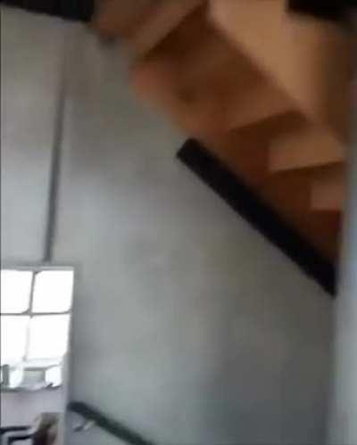 Just got a new puppy... my cat is still adjusting