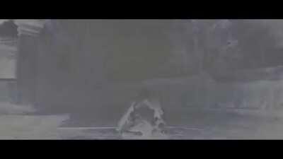 Detail: Arrests are more violent depending on your bounty.