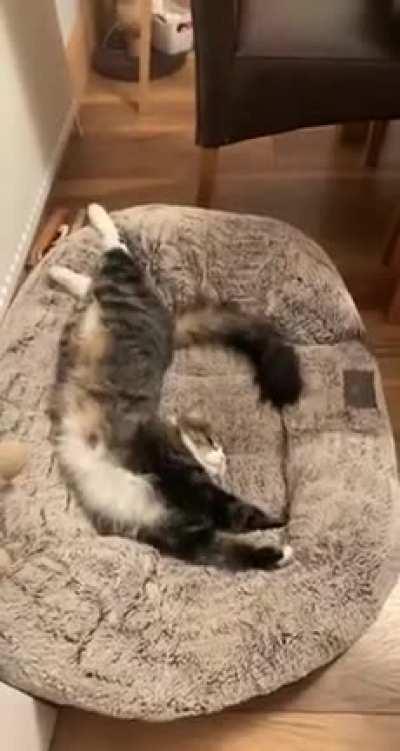 Get him out of my bed!