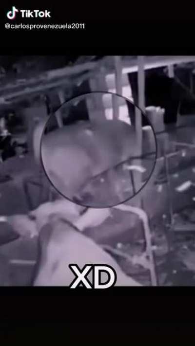 Cómo llego eso allá?