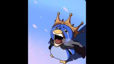 THE ONE PIECE IS REAL