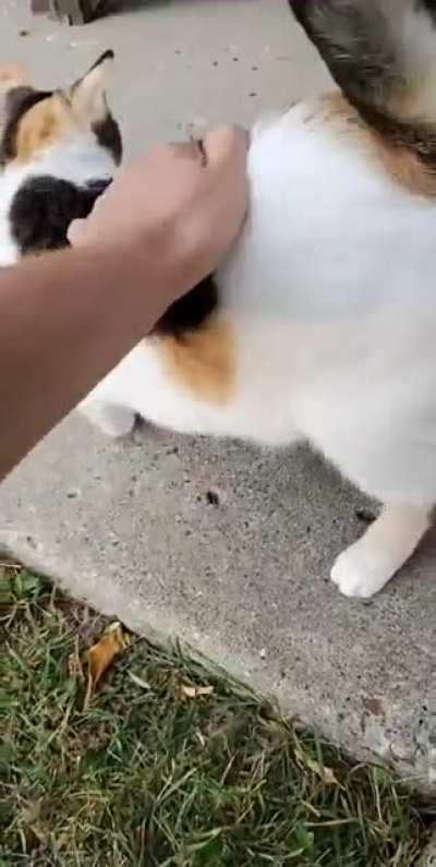 Ran into a chain smoker today