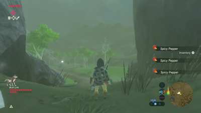 I just wanted to pass…