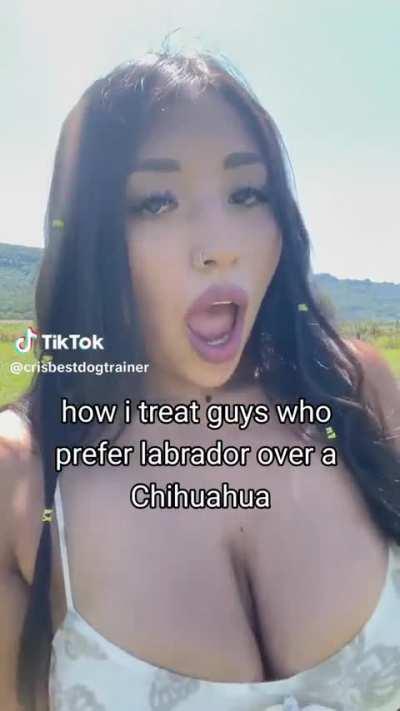 Facts @crisbestdogtrainer