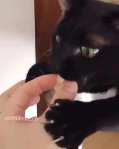 Ever wondered what it looks like when hopes and dreams are shattered?