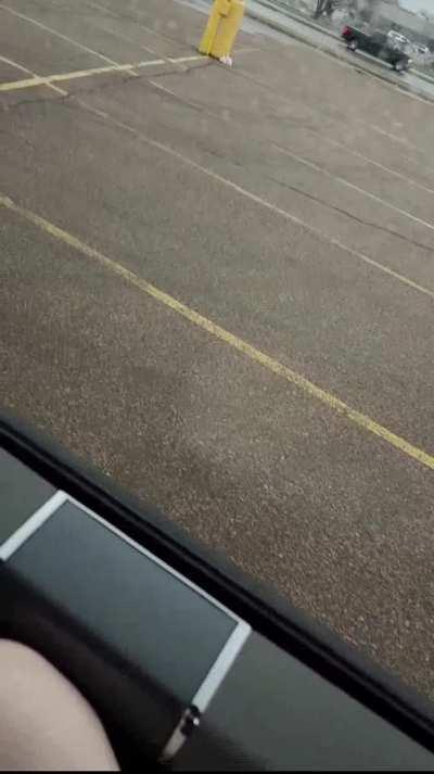 Amateur GIF by myunicorn