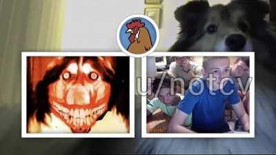 [Jumpscare warning] "I would f*ck that dog"