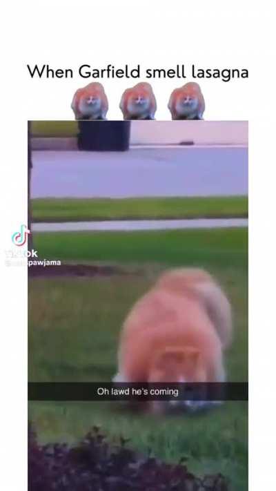 oh not not da garfield hellp me!