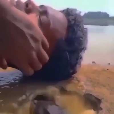 Sem ideia pra titulo