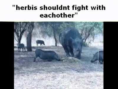 me or you: the survival game