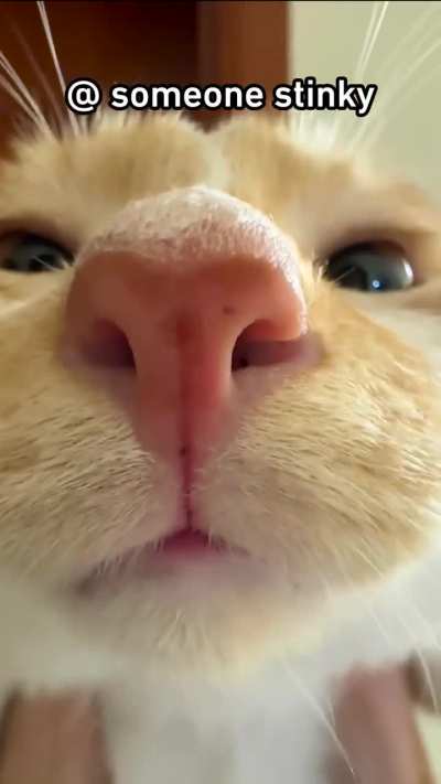 He found you 🫵🏻