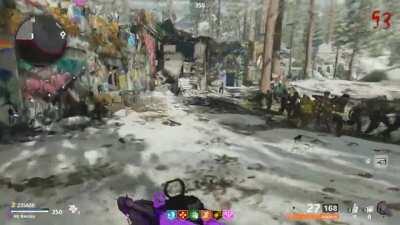 These Dogs Don't Miss